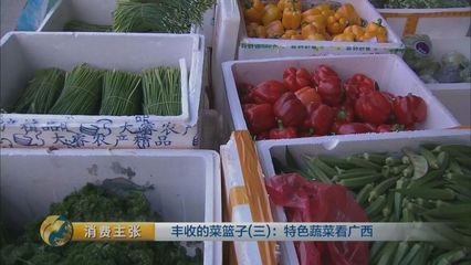 探秘广西 百斤冬瓜、西瓜样木瓜，这些特色蔬菜你尝过吗？