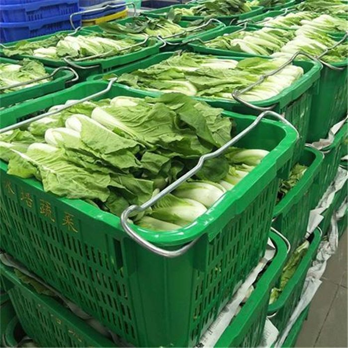 观澜蔬菜配送 新鲜直达，健康餐桌的坚实后盾
