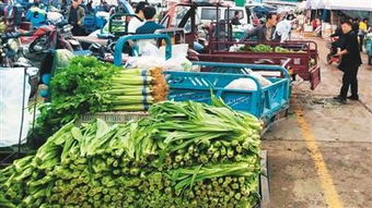 香菜价降至3元 双节临近，百姓菜篮子“轻”了还是“重”了？