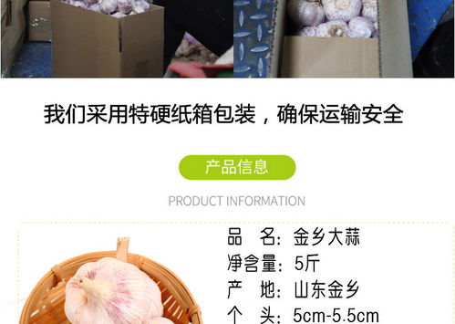 2020年金乡紫皮干大蒜头 山东农家特产的健康批发优选