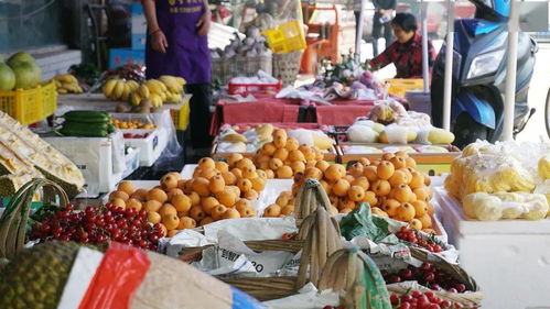 乐游嘉州 古今岁月里的静美乡村 新鲜蔬菜批发